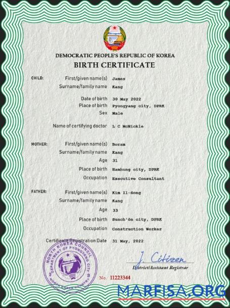 Blank North Korea birth certificate PSD template